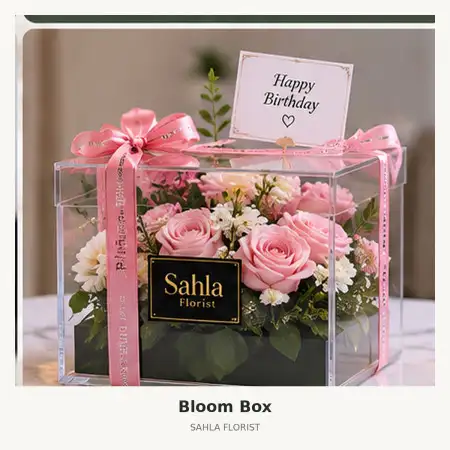 Bloom Box Barru